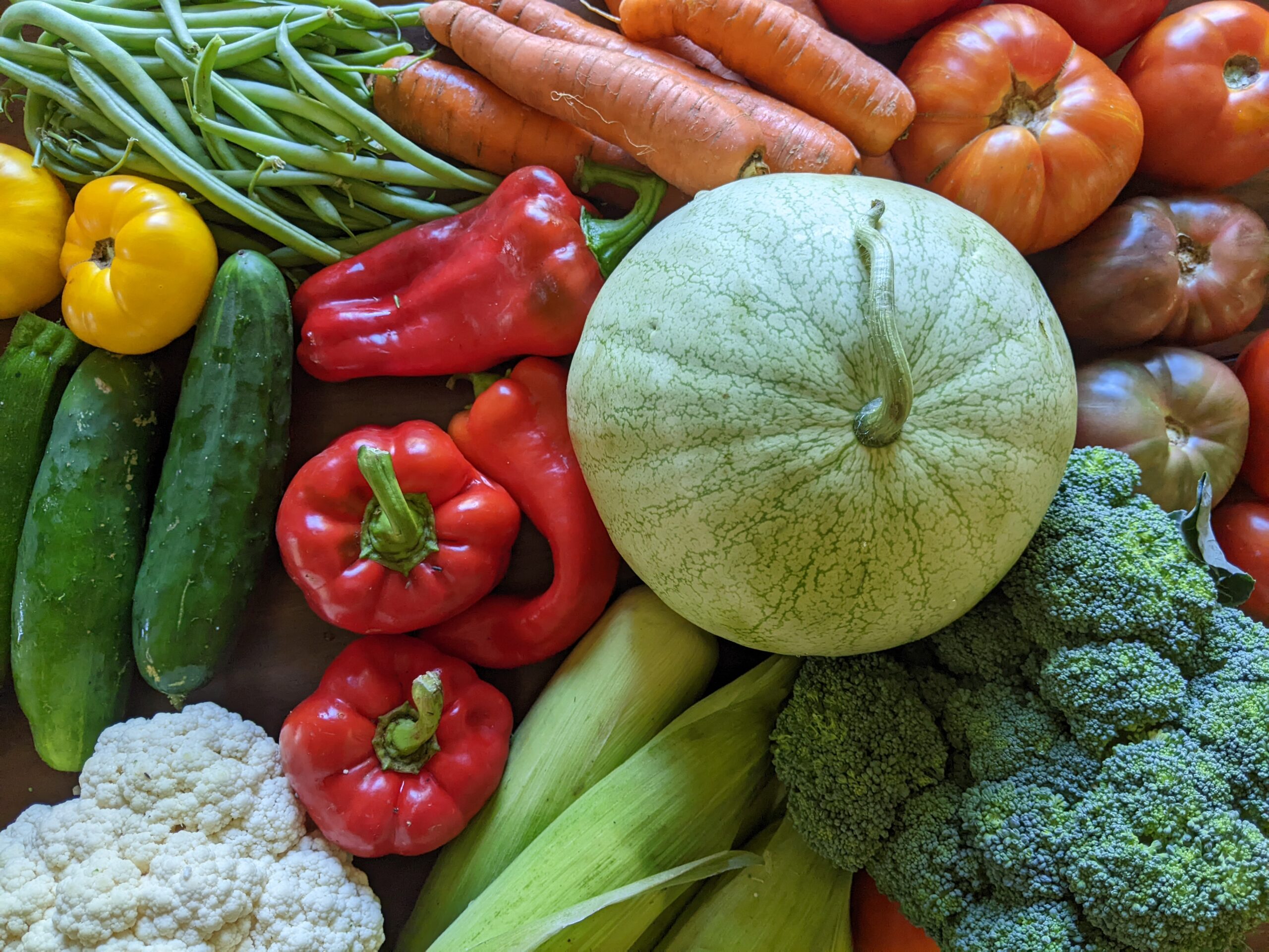 Weekly Meal Plan 8 30 23 Green Life Philosophy weekly-meal-plan-8-30-23-green-life-philosophy