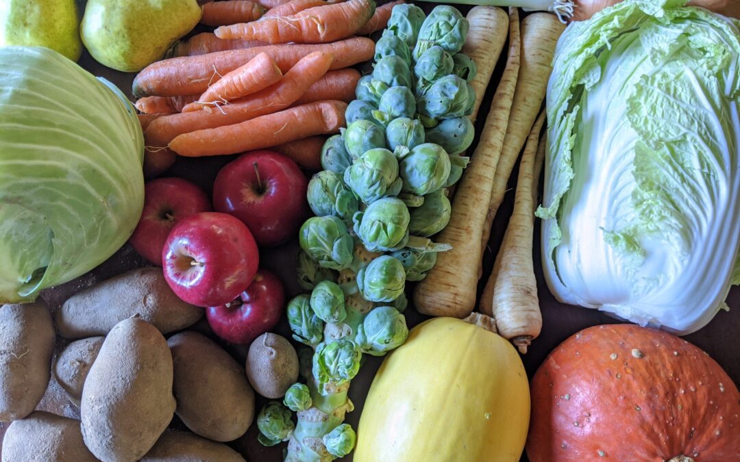 Weekly Meal Plan 10.13.21