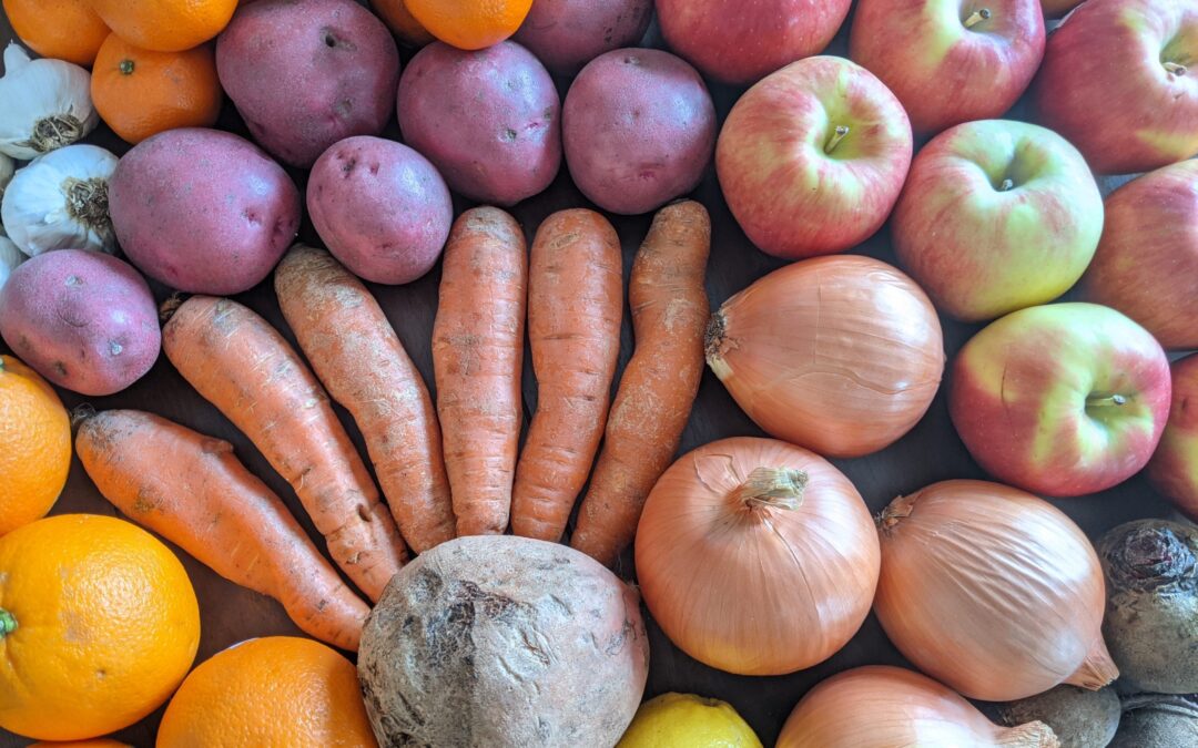 Weekly Meal Plan 1.19.22