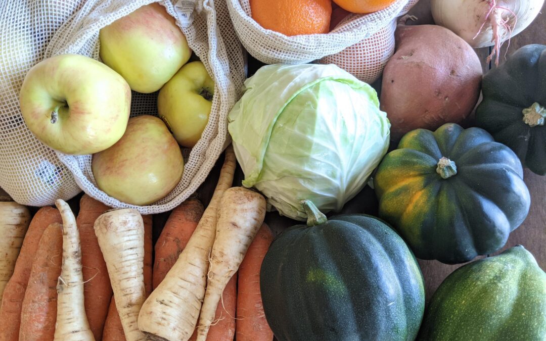 Weekly Meal Plan 12.22.21