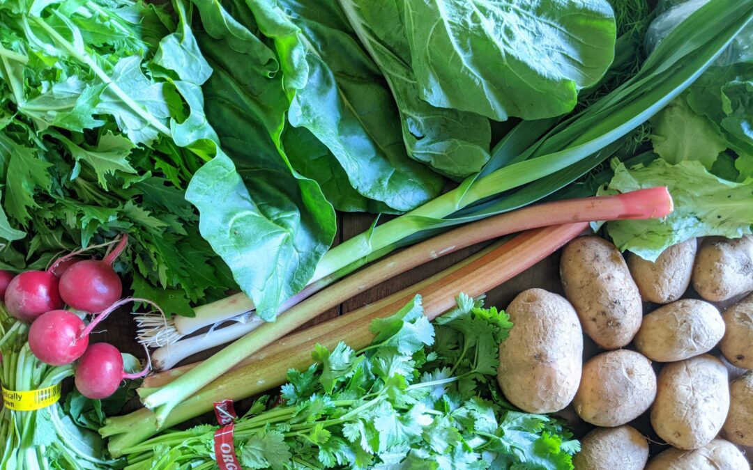 Weekly Meal Plan 5.12.21