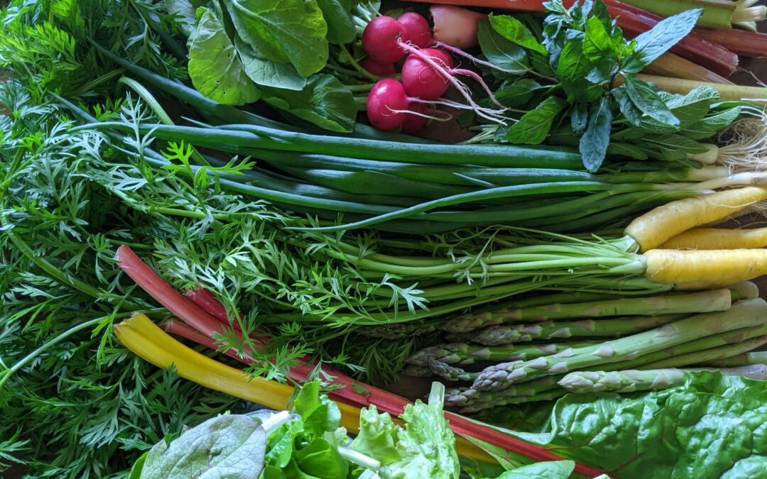 Weekly Meal Plan 5.26.21