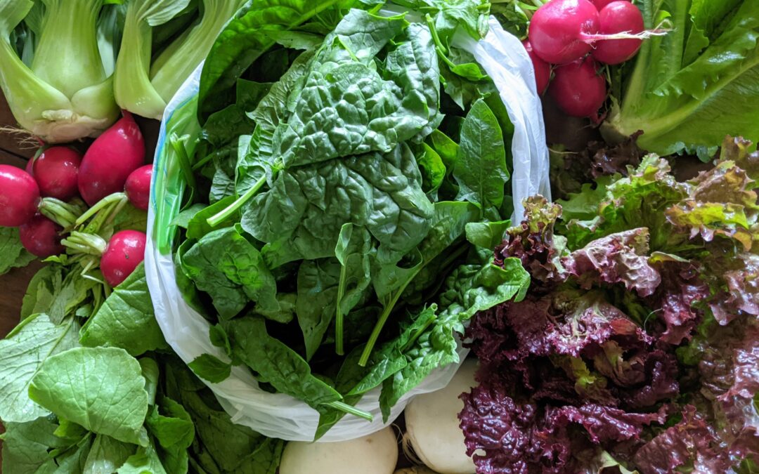 Weekly Meal Plan 6.2.21