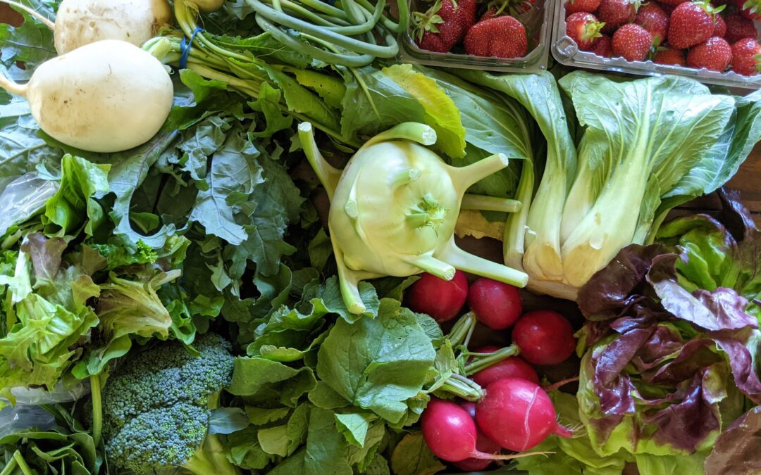 Weekly Meal Plan 6.16.21