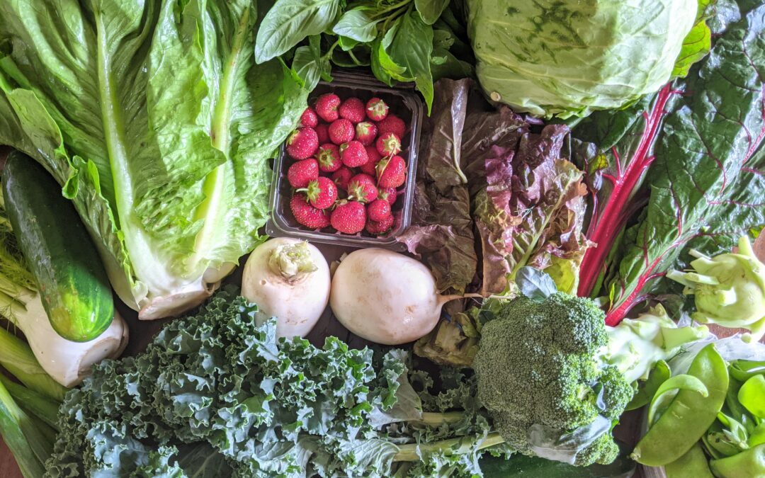 Weekly Meal Plan 6.30.21