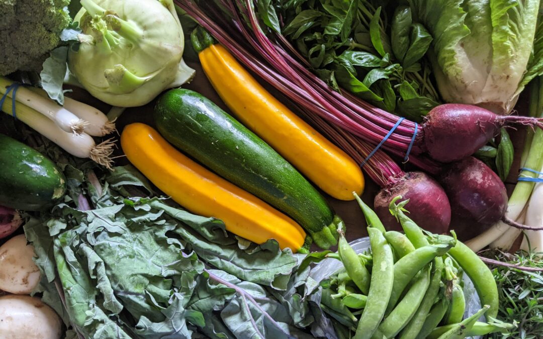 Weekly Meal Plan 7.7.21