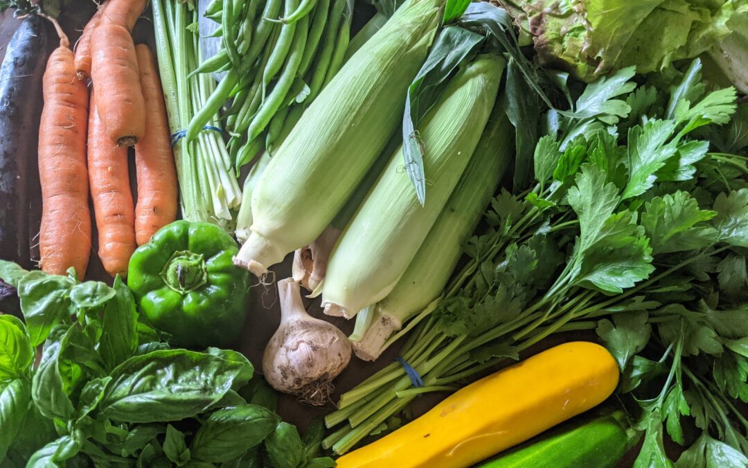 Weekly Meal Plan 7.21.21