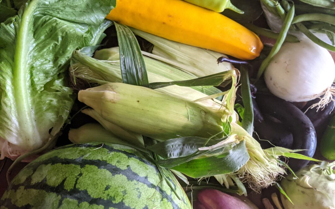 Weekly Meal Plan 7.28.21