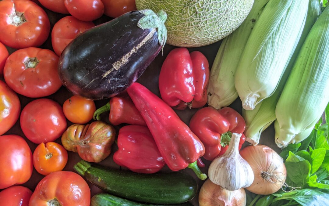 Weekly Meal Plan 9.8.21