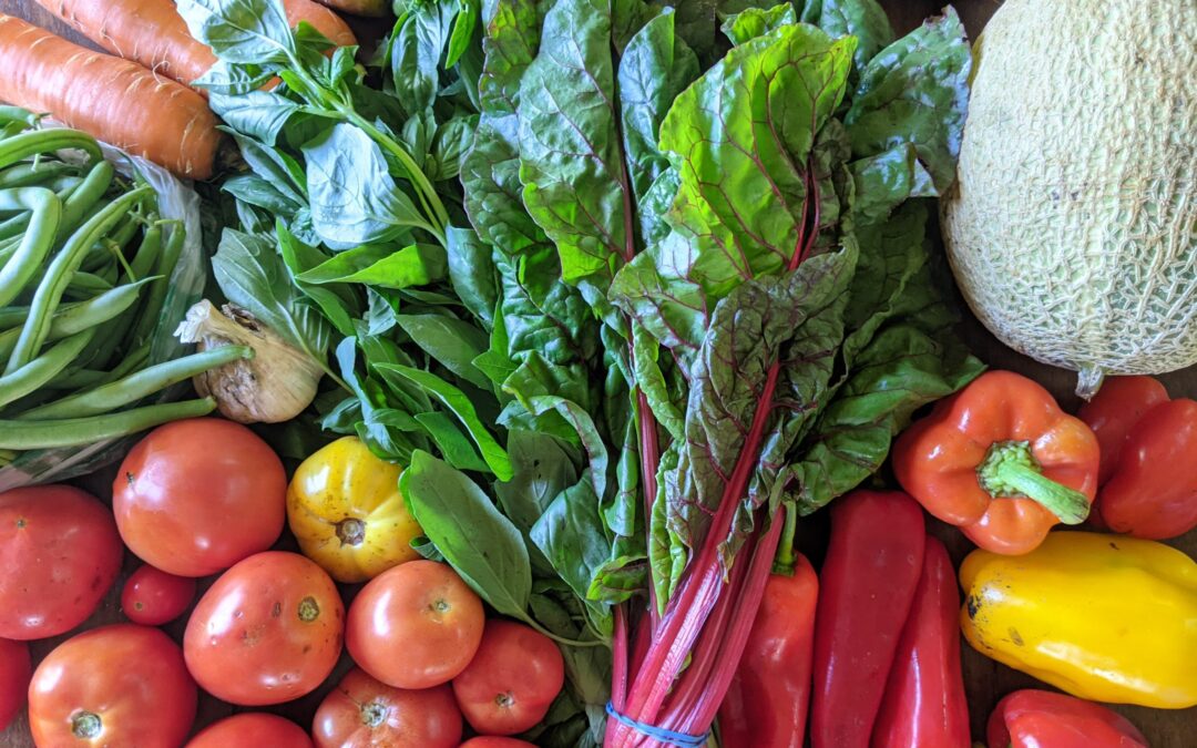 Weekly Meal Plan 9.15.21