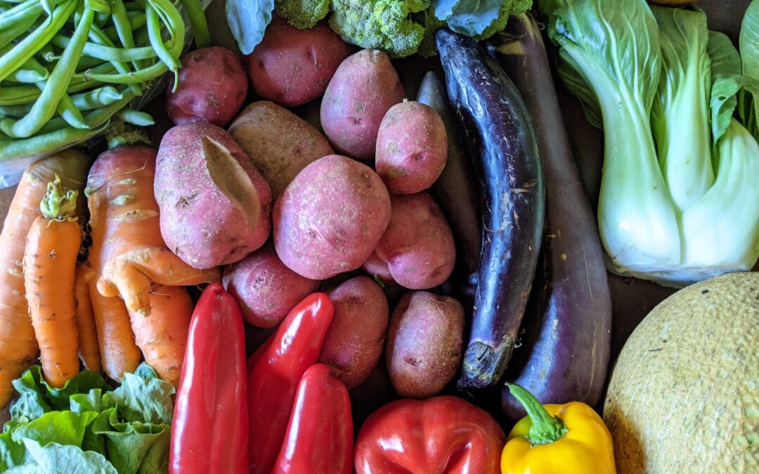 Weekly Meal Plan 9.22.21