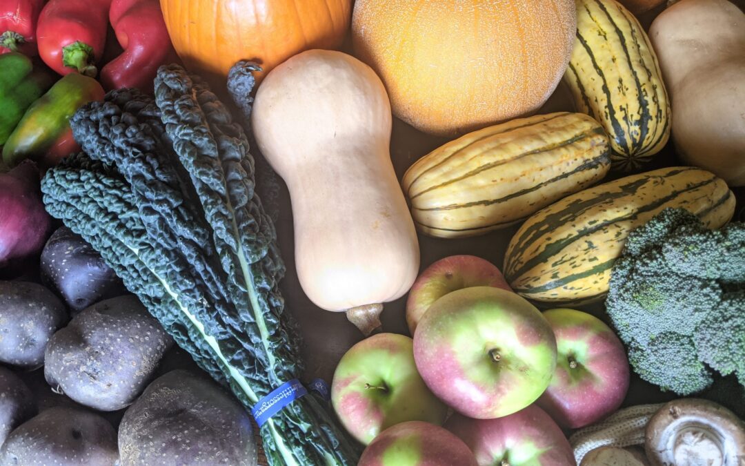 Weekly Meal Plan 10.27.21