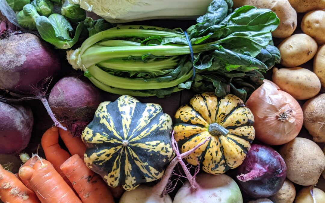 Weekly Meal Plan 11.3.21