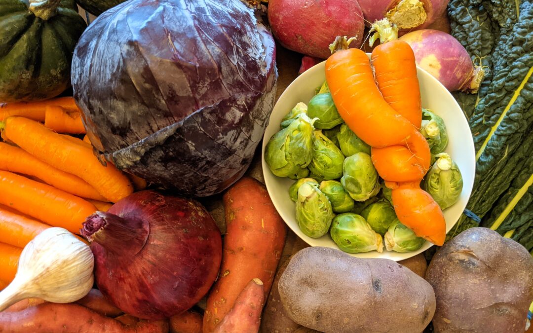 Weekly Meal Plan 11.10.21