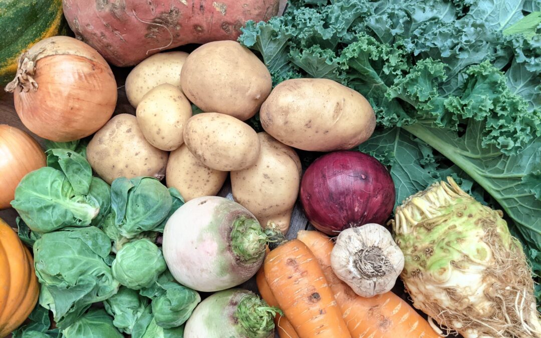 Weekly Meal Plan 12.1.21