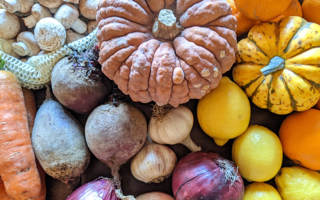 Weekly Meal Plan 2.23.22