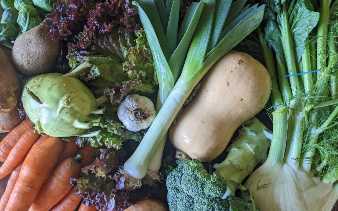 Weekly Meal Plan 10.26.22