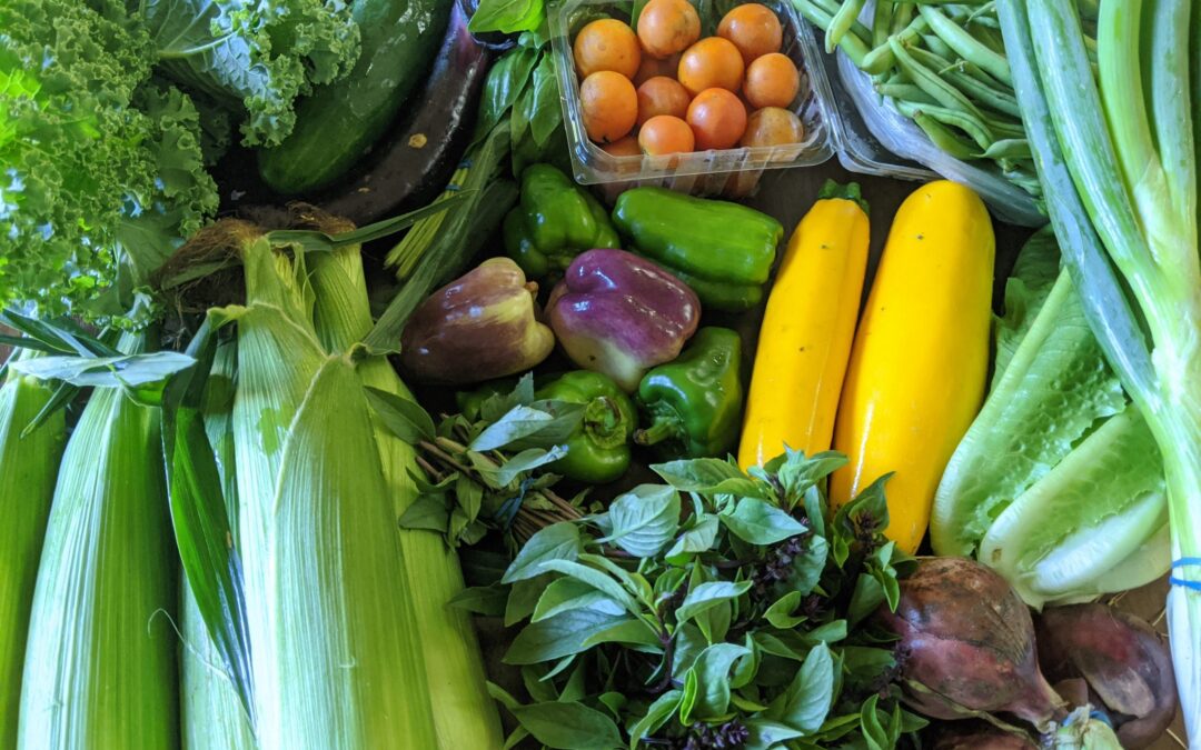 Weekly Meal Plan 8.4.21