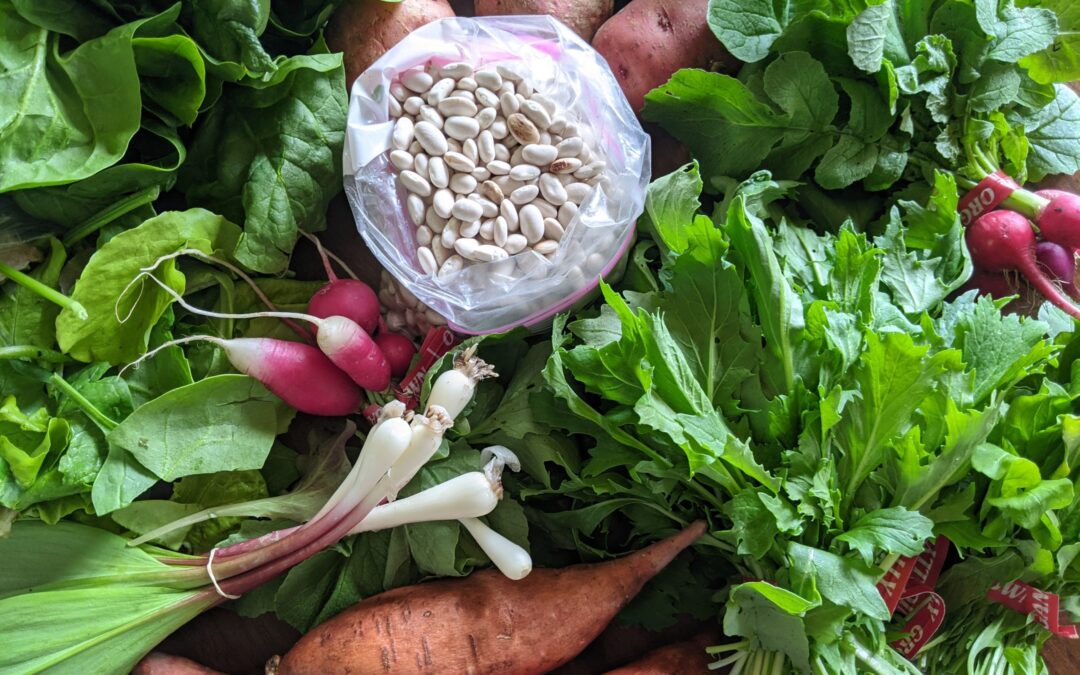 Weekly Meal Plan 4.21.21