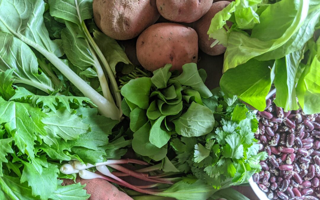 Weekly Meal Plan 4.20.22