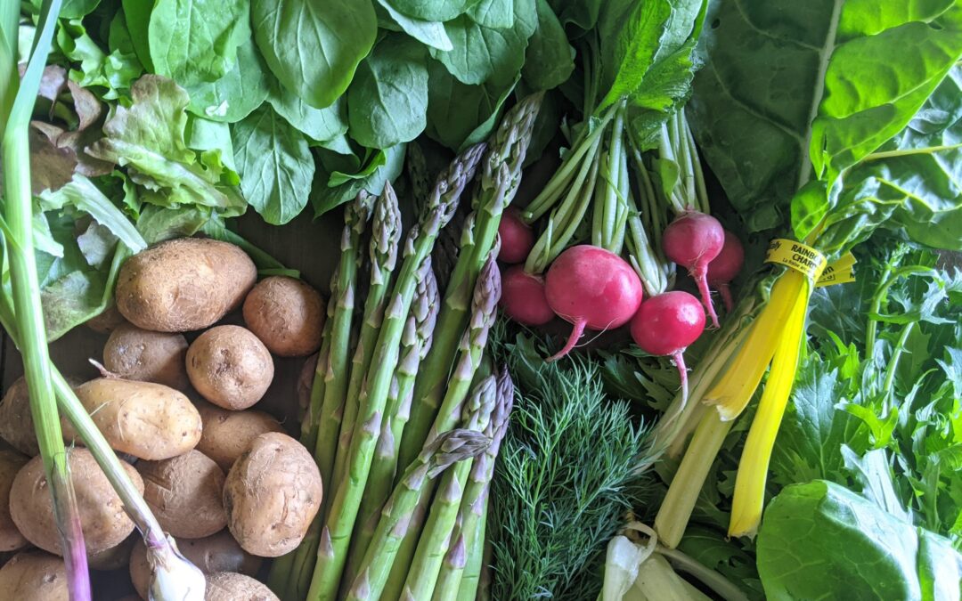 Weekly Meal Plan 5.5.21