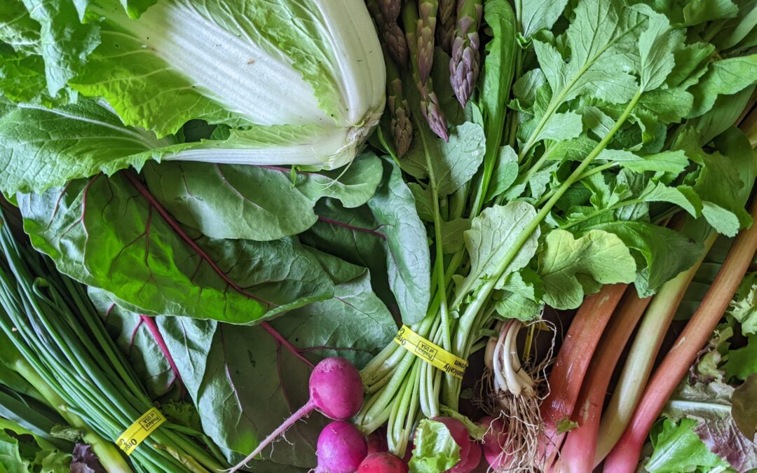 Weekly Meal Plan 5.17.23