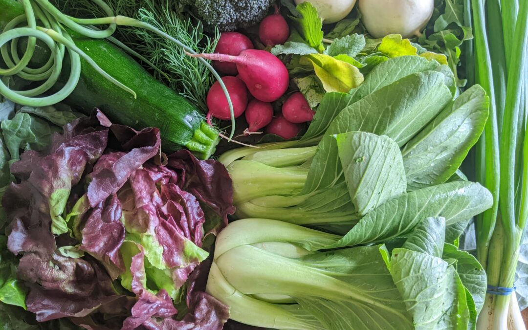 Weekly Meal Plan 6.14.23